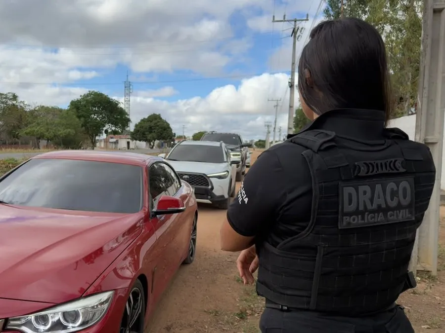 Veículos e armas foram apreendidos durante a operação Foto : Polícia Civil / CP