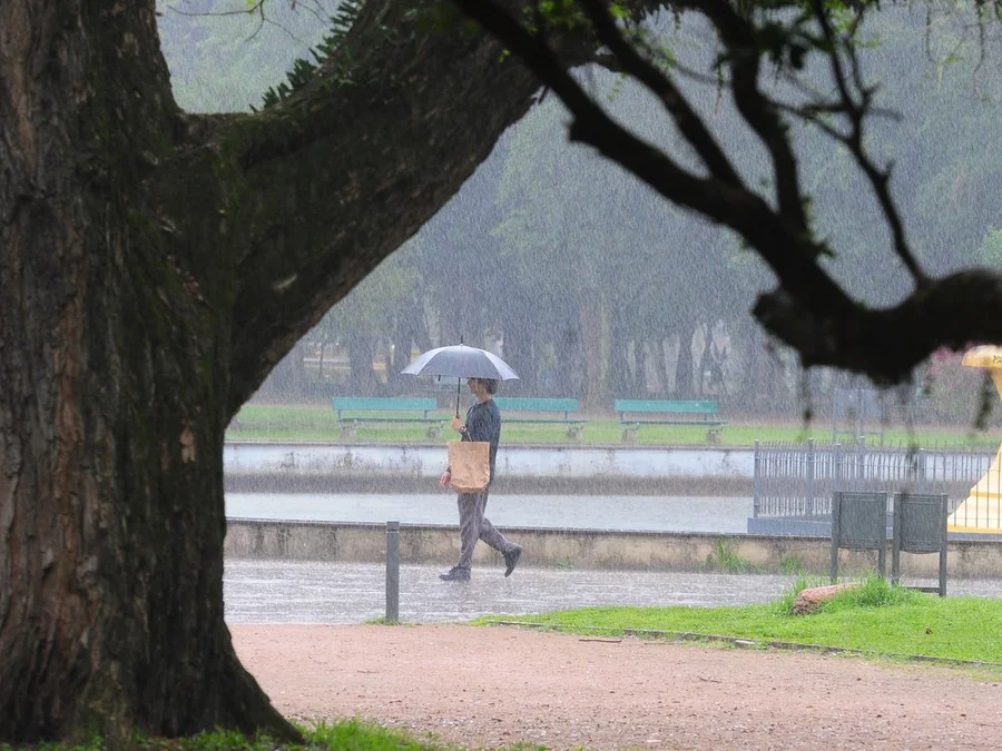 Foto: Fabiano do Amaral / Correio do Povo