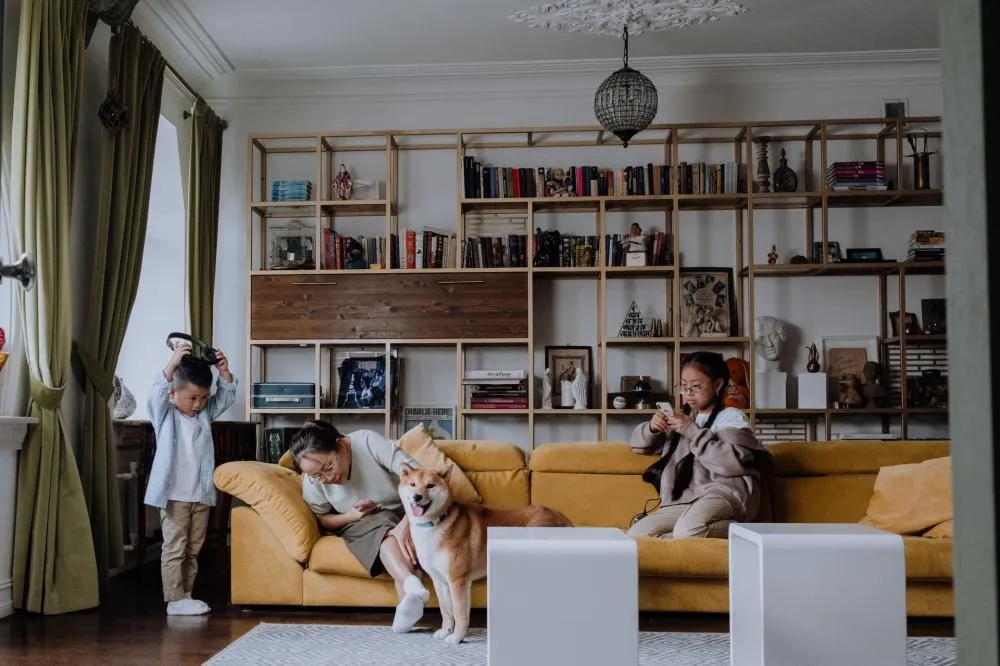 Imagem de cottonbro studio no Pexels