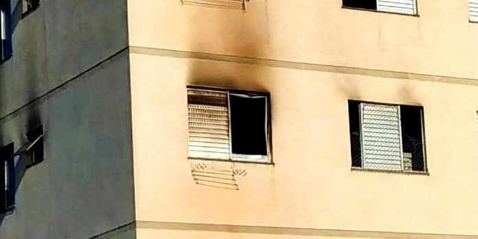 Foto: PC / Divulgação / CP