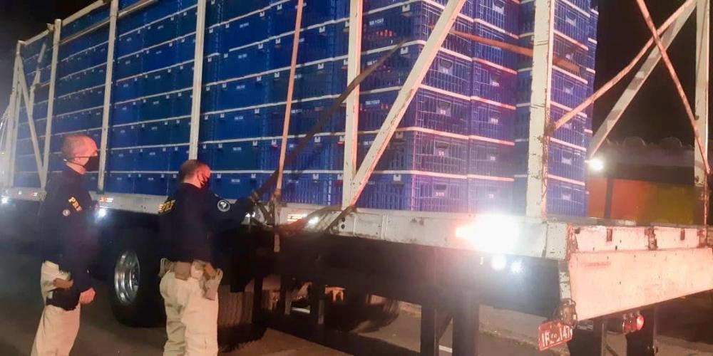 Veículo transporta carregamento de entorpecente oculto entre os engradados vazios | Foto: PRF / CP