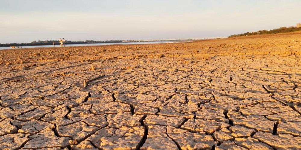 Uruguaiana decretou situação de emergência por estiagem | Foto: Jairo de Souza / Especial CP