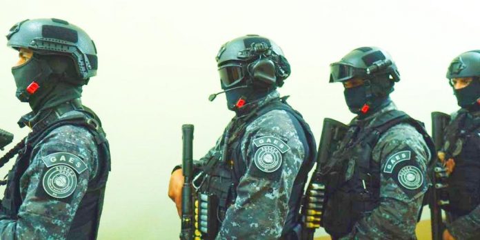 O Grupo de Ações Especiais (GAES) atuou na varredura. Foto: Alefer Dias/Susepe