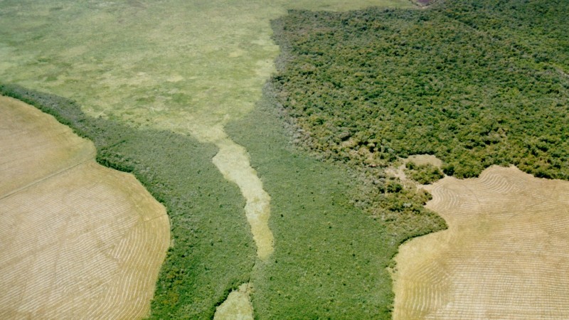 Área comprada na Unidade de Conservação é de 732 hectares - Foto: Ricardo Aranha / Divulgação / Sema