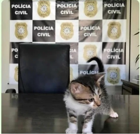 Foto: Divulgação / Visão Regional