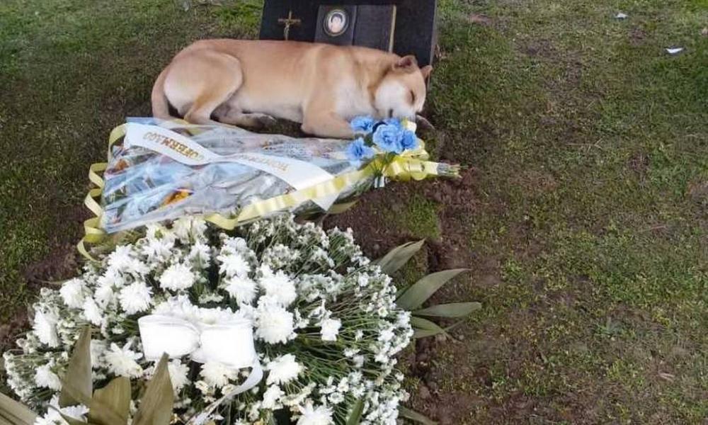 Idoso de 61 anos que foi sepultado no fim de semana Foto: Reprodução