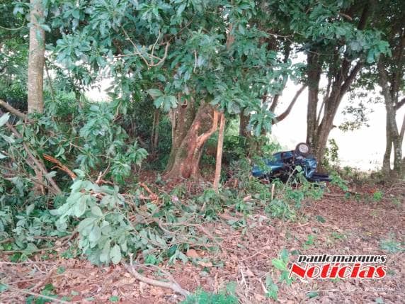 Foto: Divulgação / Paulo Marques Notícias