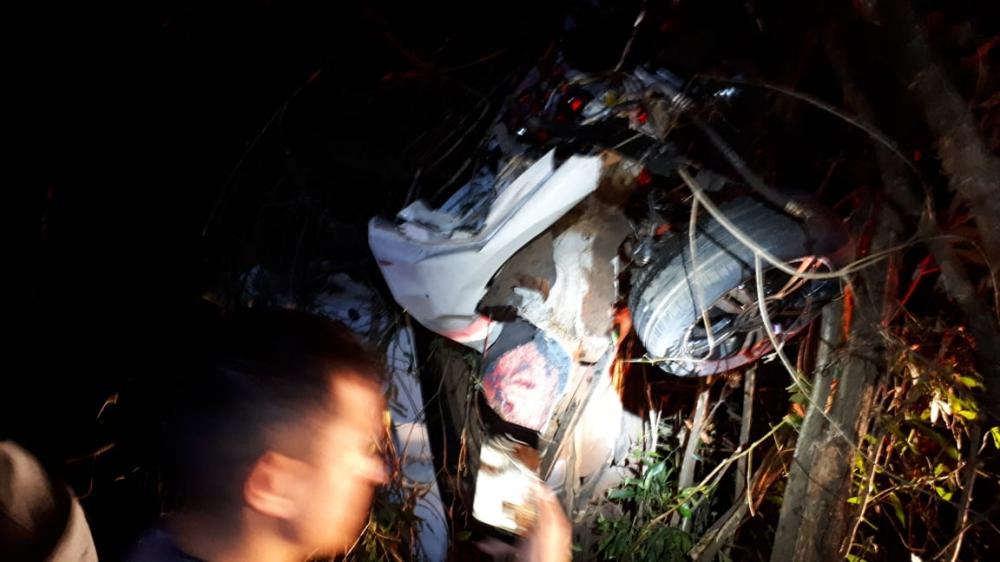 Veículo colidiu em árvore e ficou praticamente destruído. Foto: TP News