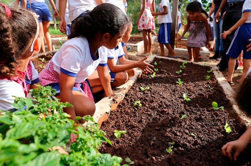 Crianças participam do Projeto Horta Escolar, em Goiânia - Prefeitura de Goiânia