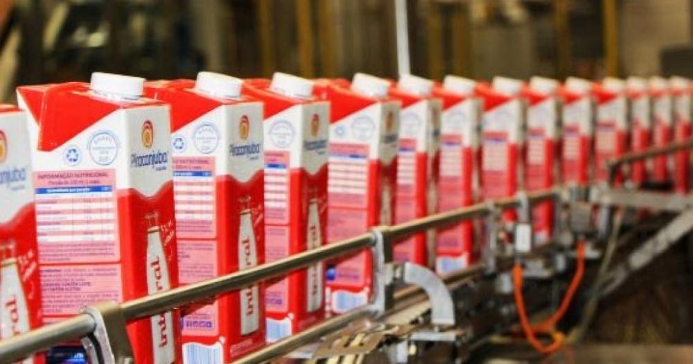 Piracanjuba pretende gerar até 300 empregos em Carazinho