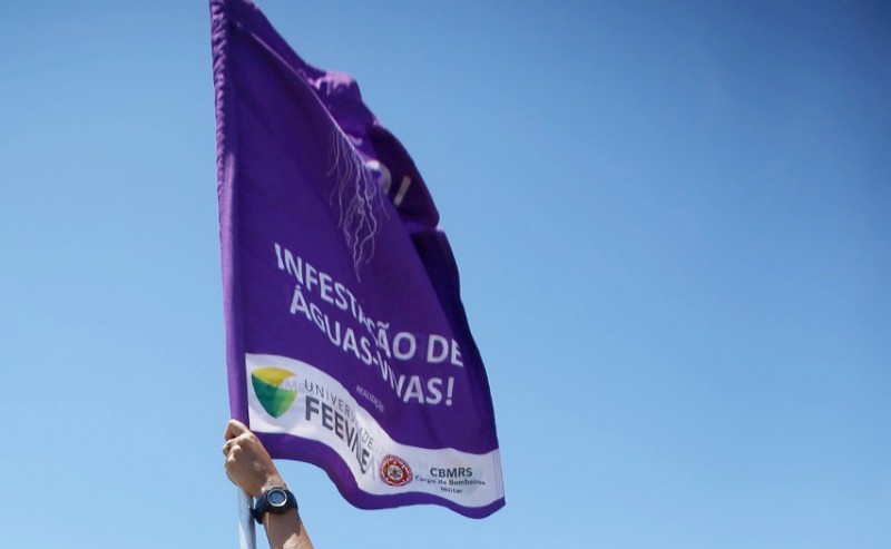 Guarda-vidas usam bandeira na cor lilás para indicar a presença dos animais na água. Foto: Divulgação/CBMRS