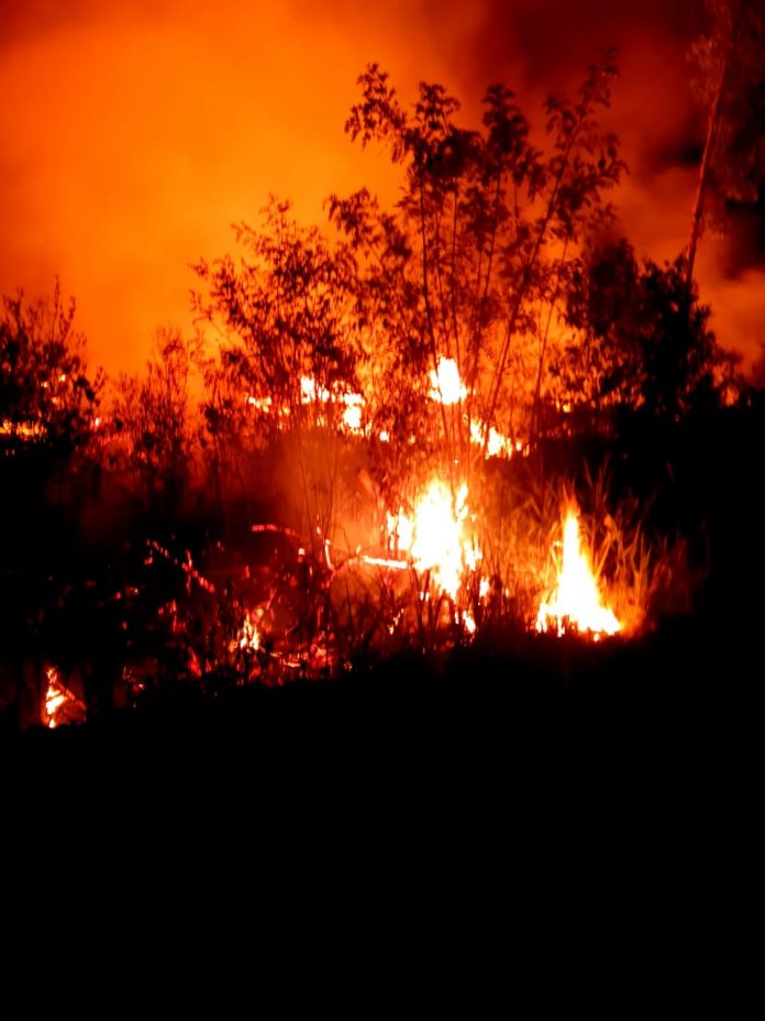 Foto: Corpo de Bombeiros