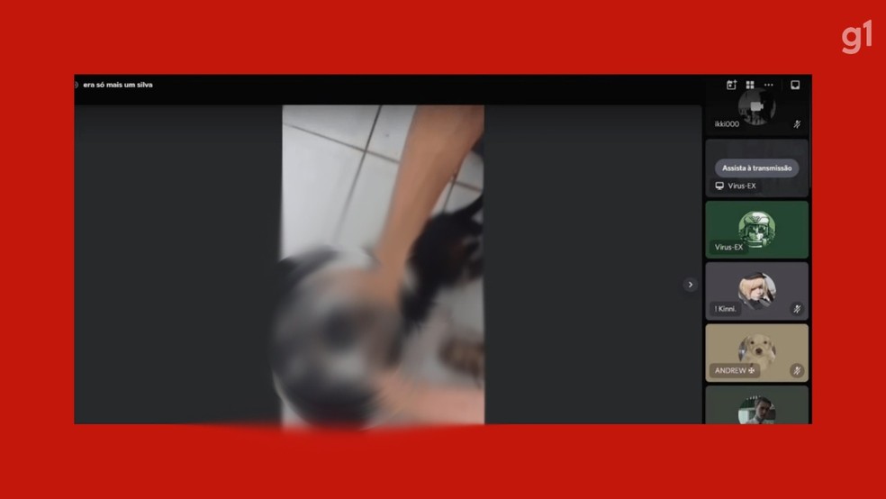Adolescente é investigado após transmitir tortura e morte de um cachorro pela internet, em Lindolfo Collor (RS) — Foto: Reprodução