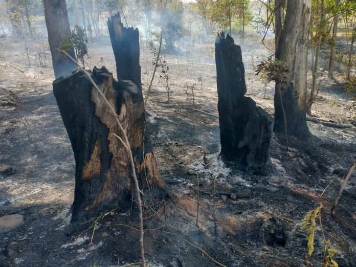 Foto: Bombeiros / Divulgação