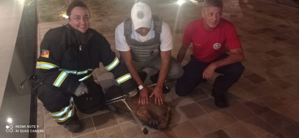 Foto: Divulgação/Corpo de Bombeiros