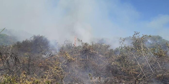 Dinheiro é destinado a Defesa Civil do Mato Grosso do Sul | Foto: Ascom / CBMMS / CP