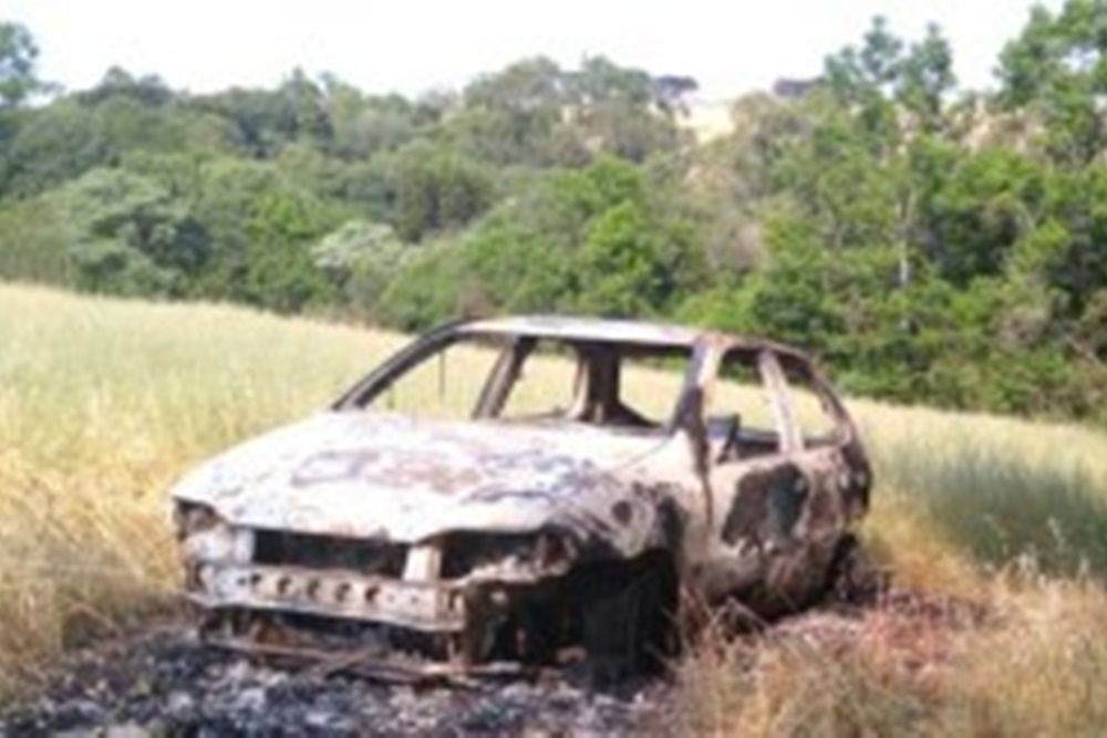  Foto: Reprodução/PN Notícia