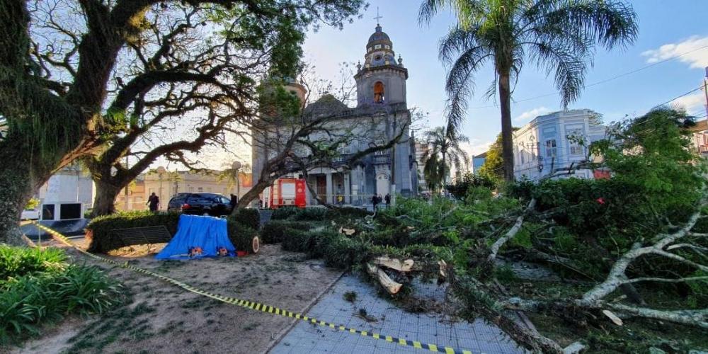 Queda de galhos de árvore provocou uma morte em Pelotas | Foto: Paulo Otávio Pinho /Especial CP