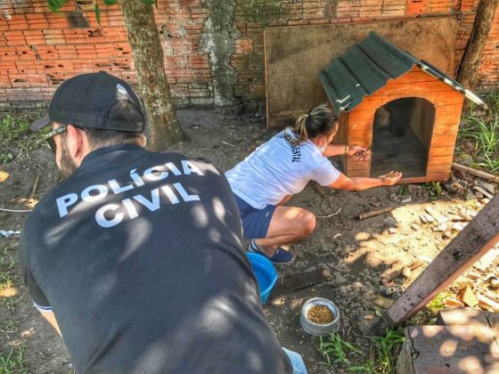 Foto: Polícia Civil / Divulgação