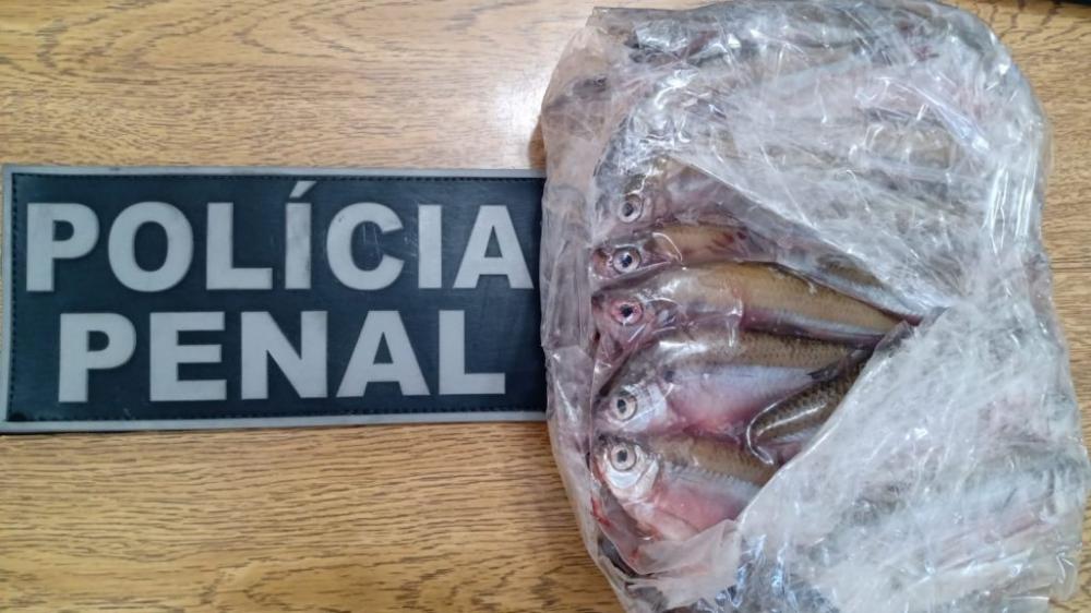 Foto: Susepe/Divulgação