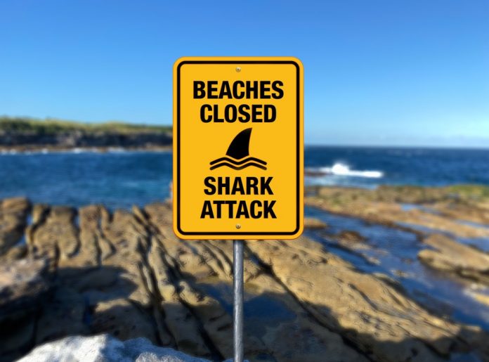 'Praias fechadas, ataque de tubarão', diz placa em imagem ilustrativa (Foto: Cortesia/Randwick Council)