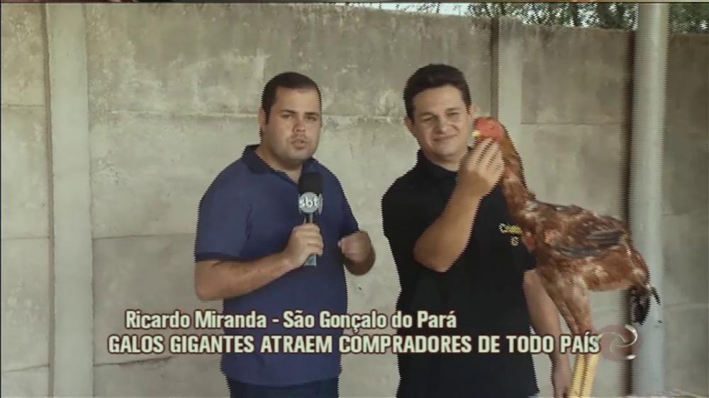 Foto: Divulgação / Reprodução de vídeo