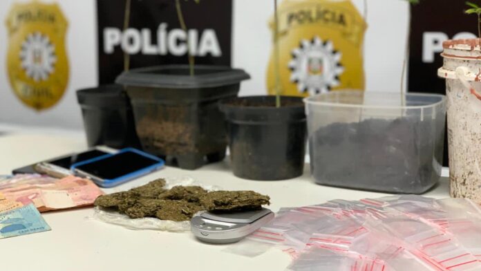 Foto: Polícia Civil do Rio Grande do Sul/Divulgação