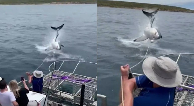 Tubarão deu salto impressionante para fora da água, em península no sul da Austrália MONTAGEM/R7, COM TWITTER/@9NEWSADEL