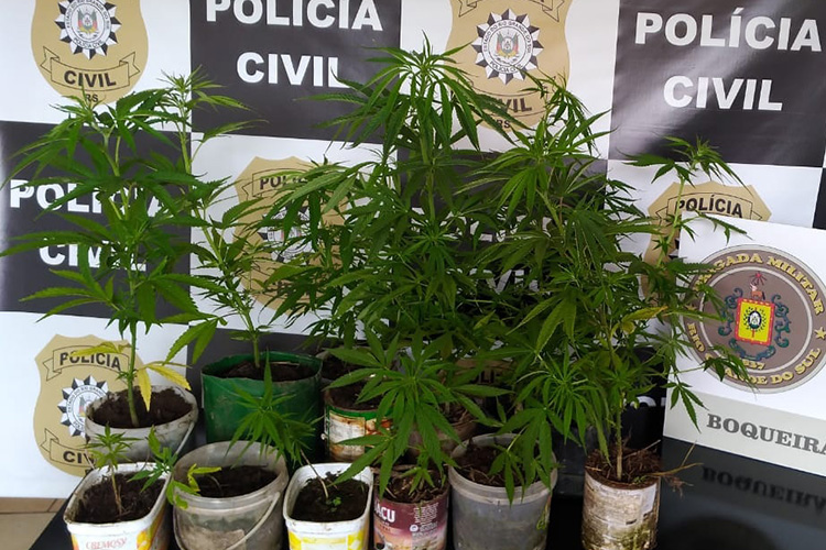 Apreensão foi feita após investigação da Polícia Civil