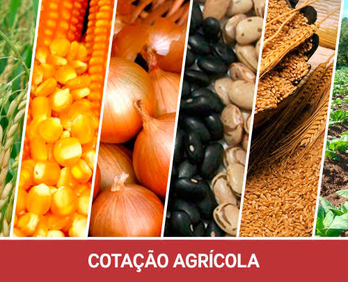 Imagem ilustrativa - Foto: Divulgação