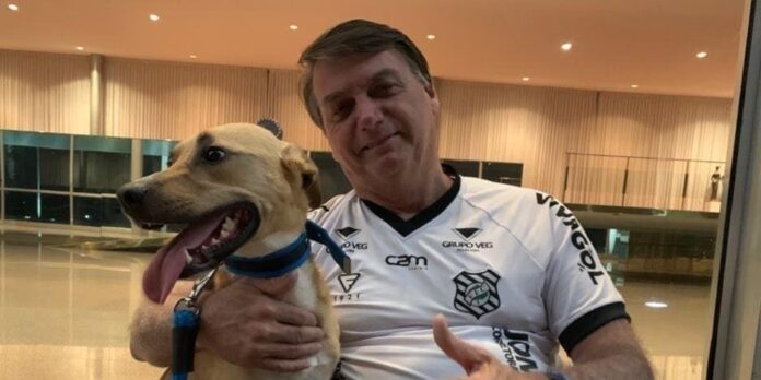 Presidente Bolsonaro. Foto: Reprodução / CP