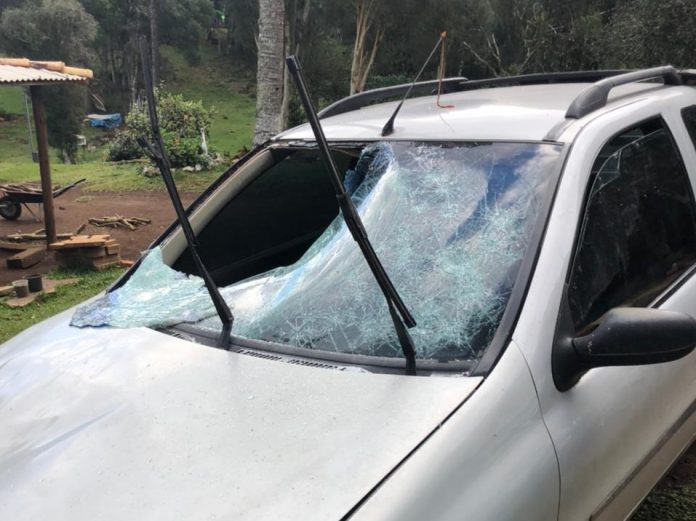 Foto: Polícia Civil/Divulgação
