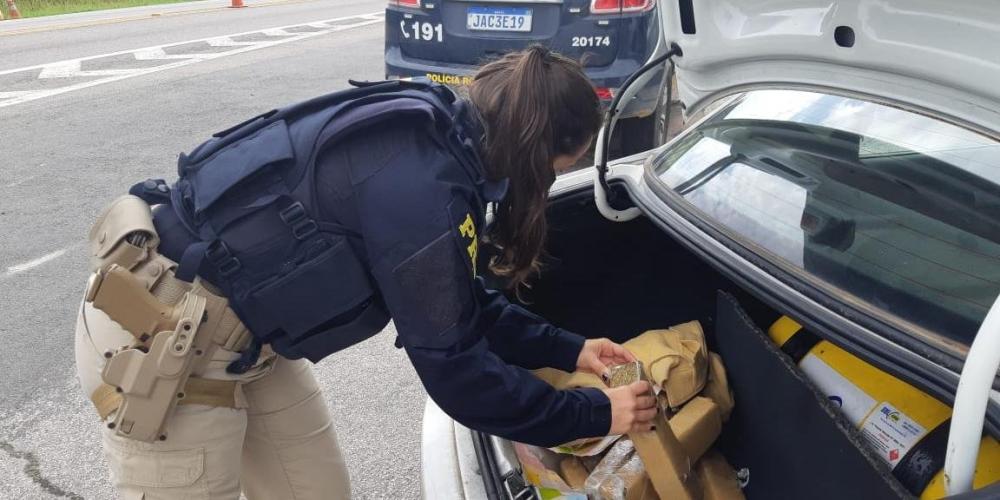 PRF e PC prendem traficante com 14 quilos de maconha em Pelotas | Foto: PRF / Divulgação / CP