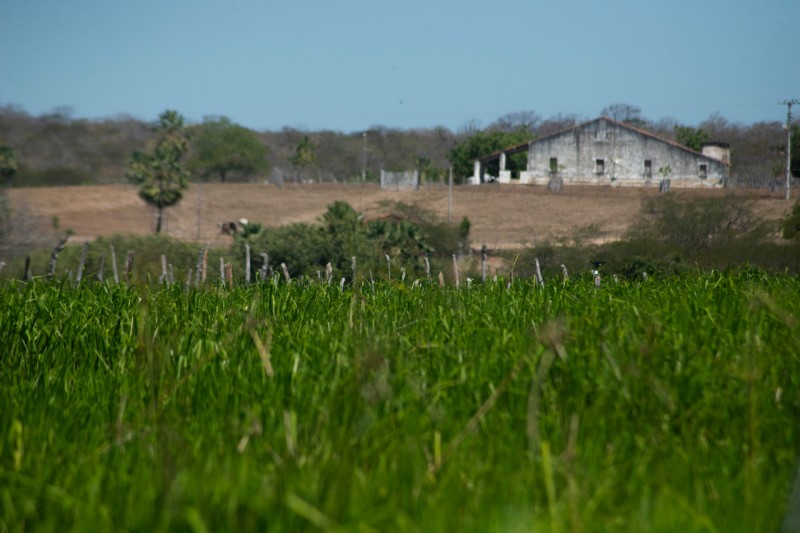 Foto: Reprodução/Secom Ceará