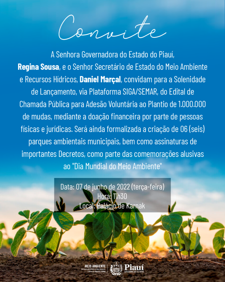 Foto: Reprodução/Secom Piauí