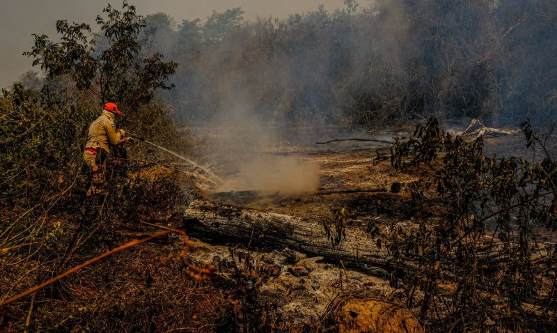 Foto: Reprodução/Secom Acre