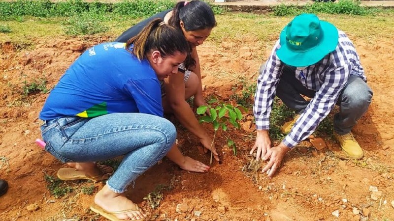 Plantio de mudas Nobres - Foto por: Sema/MT