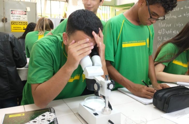 Foto: Reprodução