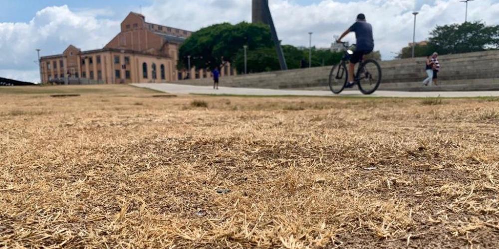 Tempo seco em Porto Alegre deixa gramados, como o da orla do Guaíba, danificados e com coloração amarelada | Foto: Alina Souza