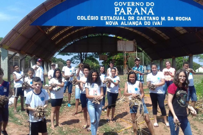 Foto: SEED-PARANÁ