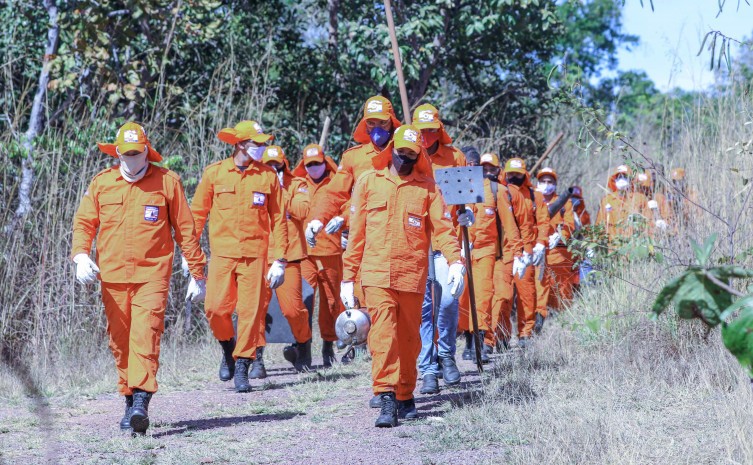 "Guardiões do Bioma” atuarão contra as queimadas e incêndios florestais no Tocantins - Foto: Luiz Henrique Machado/Governo do Tocantins