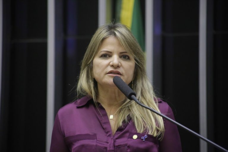 A deputada Flávia Morais recomendou a aprovação da proposta - (Foto: Paulo Sergio/Câmara dos Deputados)