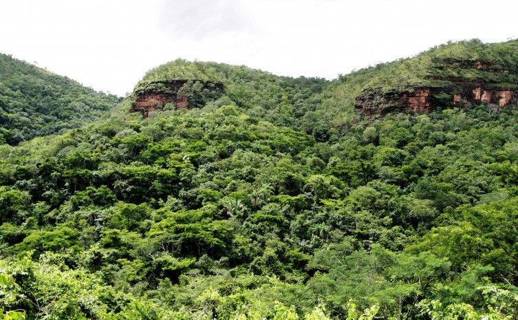 GT será fundamental para a definição técnica da estruturação do mecanismo de transações de créditos jurisdicionais de carbono florestal - Foto: Marcel de Paula/Governo do Tocantins