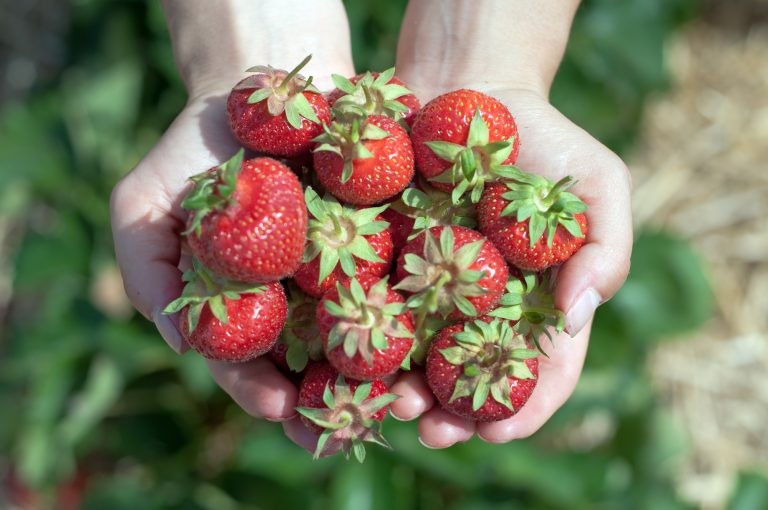 Foto: Depositphotos