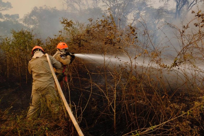 Combate aos incêndios no Pantanal, em Poconé - Foto por: Mayke Toscano