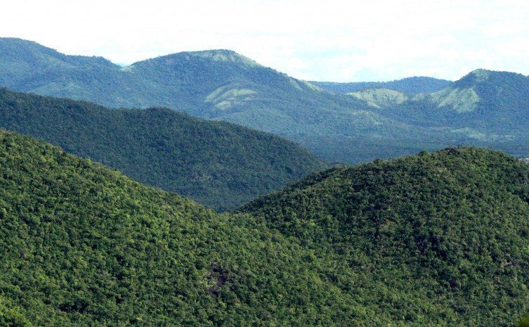 Os projetos e estudos são para mitigação das emissões de gases de efeito estufa e adaptação aos efeitos da mudança do clima - Foto: Fernando Alves/Governo do Tocantins