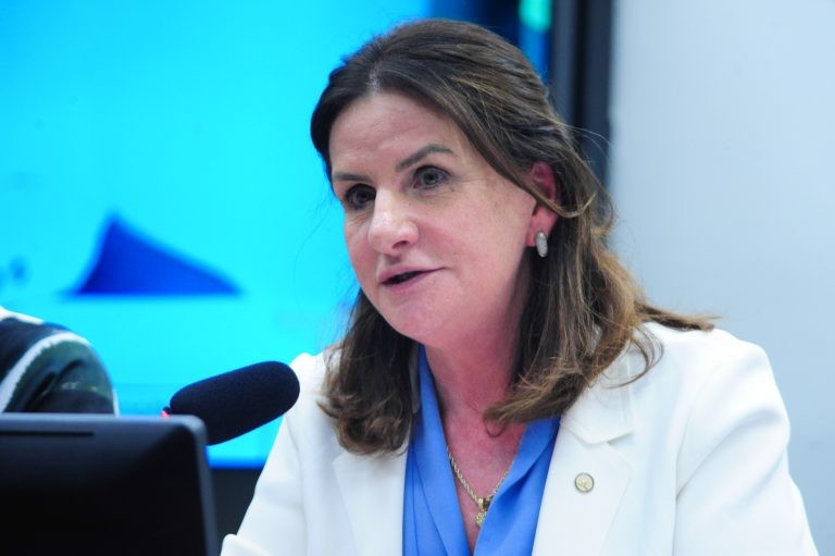 Carmen Zanotto disse que a PEC vem para evitar que o piso seja questionado na Justiça - (Foto: Billy Boss/Câmara dos Deputados)