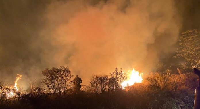 Incêndios de grandes proporções voltaram a atingir o Pantanal. Foto: Corpo de Bombeiros do Mato Grosso do Sul/Divulgação