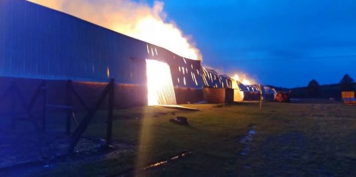 Chamas foram controladas às 8h30min | Foto: Corpo de Bombeiros de Vacaria / Divulgação / CP