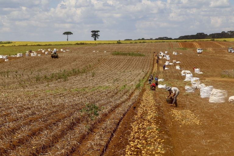 Medida pretende ampliar o mercado de crédito para o setor agrícola - (Foto: Gilson Abreu/AEN)